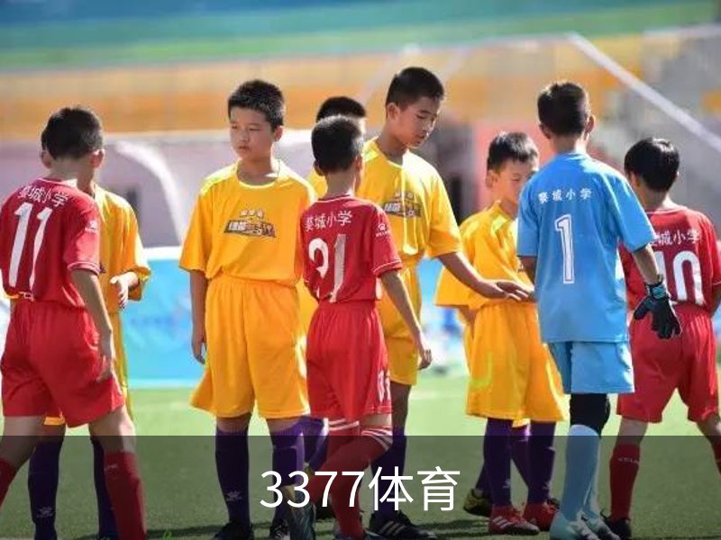 走进3377体育